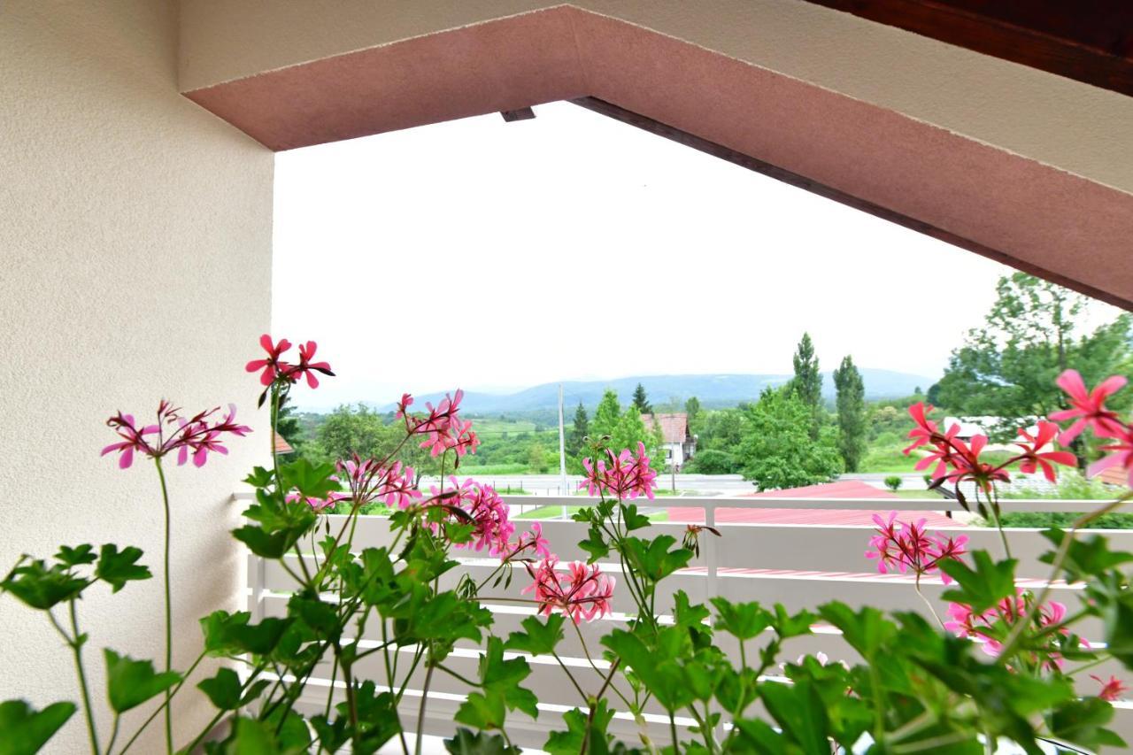 Hotel House Bela Vido Drežnik Grad Exteriér fotografie